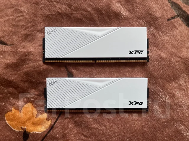 DDR5. ����