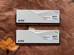 DDR5. ����
