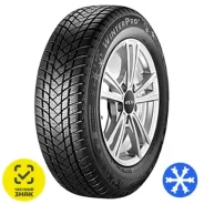 GT Radial WinterPro2