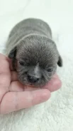 ��������. ����