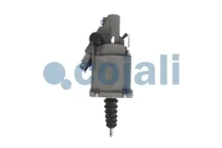�������������������� 2550803 Cojali 2550803 ����