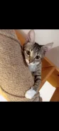 �����. ����