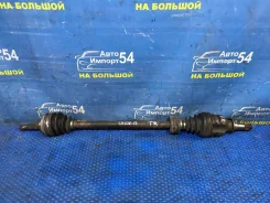 ������ �������� ������ Toyota Corolla 1995 [��-00025347] 4341020342 ����