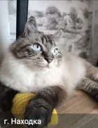 �����. ����