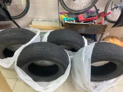 Triangle THW10. ������, 2021 ���, �/�, ����� 50 % ����