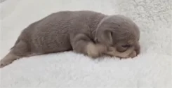 ��������. ����