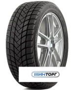 Delinte Winter WD6