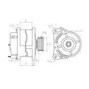 ��������� 24V 50Amp Isuzu Trucks CV/CX/CXZ/CUX/V10/SKW/FRR/FSR/�FTR eng. 6HE1/6BG1/8PG1/8PB/10PB TT11004 ����