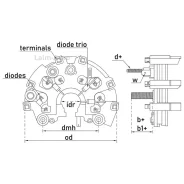 ������� ���� TT34127 ����