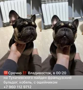 ����������� �������. ����