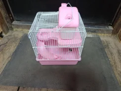 ������. ����