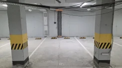 ����� �����������. ����