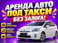 Toyota Prius. ��� �������� ����