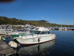 Searay. 1993 ���, ����� 8��., ��������� ���������, 280��.�., ������ ����