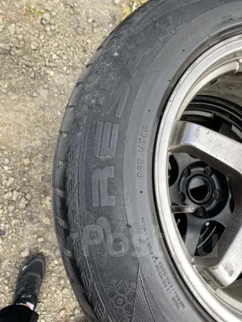 Presa PI14. ������, ��� �����, �/�, ����� 30 % ����