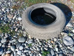 Toyo Tranpath A11. ������, 2007 ���, �/�, ����� 10 % ����