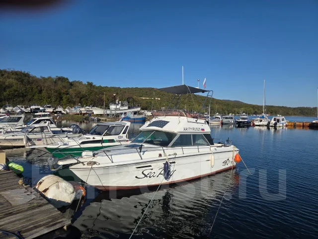 Searay. 1993 ���, ����� 8��., ��������� ���������, 280��.�., ������ ����