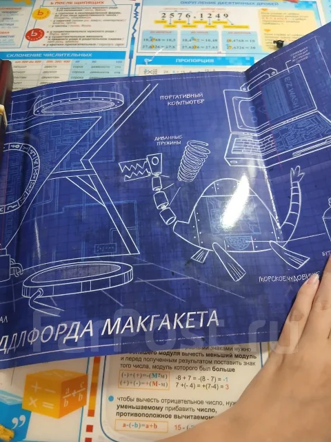 ������ ����
