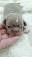 ��������. ����
