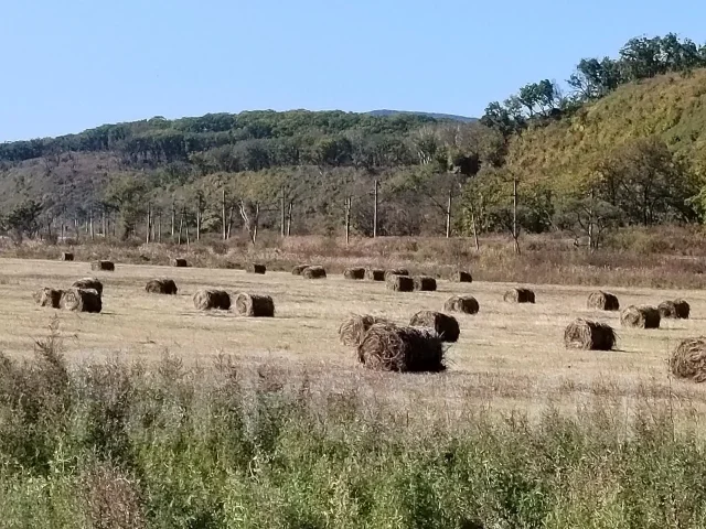 ����. ����