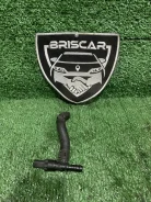 ������ ������������� Skoda Octavia 2016 04L919565 A7 CXXB 04L919565 ����