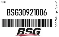 �������� ���� FORD Focus (05-08) ��������������� ������ BSG 30921006 BSG30921006 ����