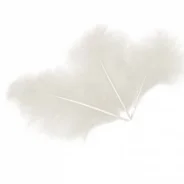 ����� �����, 10-15 ��, 30 ��/�� ����