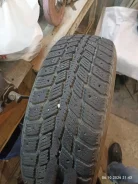 Nexen Winguard 231. ������, ����������, 2011 ���, �/�, ����� 60 % ����