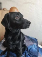 ������. ����