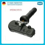 ������ �������� � ���� TPS0101 ����