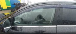 ������ ����� Audi Q7 2006 4L0845201 ����������� 4.2 BAR, �������� ����� 4L0845201 ����