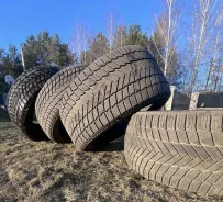 Michelin X Radial. ������, ��� �����, 2025 ���, ����� ����