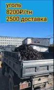 �����. ����