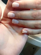 �������. ����