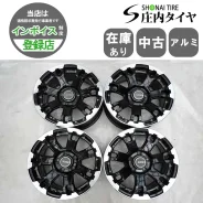 RAYS Team Daytona FDX F7