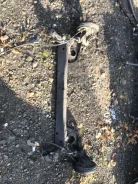 ����� ������ E12 555013VA0A ����
