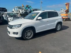 Volkswagen Tiguan. 5N, CCZD ����