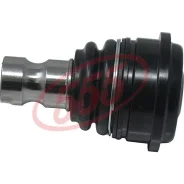 ����� ������� 555, ���. SBK-8442 SBK8442 ����