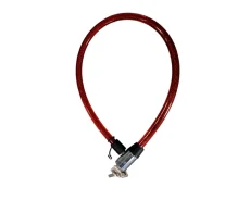 �����. ����