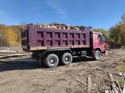 �����. ����