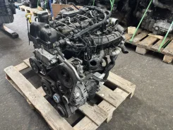 Kia Carnival ��������� D4HB 2.2 � 197 �� 1F2212FH00 ����