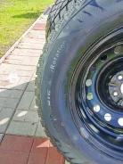 Windforce Snowblazer Max. �����������, 2024 ���, �/�, ����� �� 5 % ����