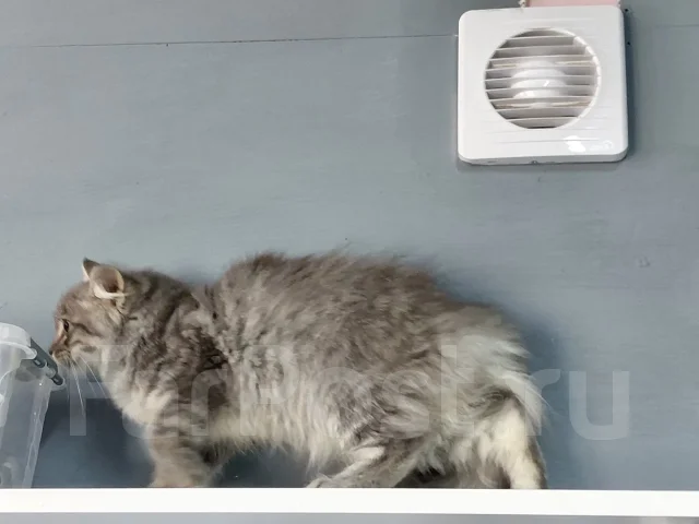 ����� �������� ������� � ������ ���� ����