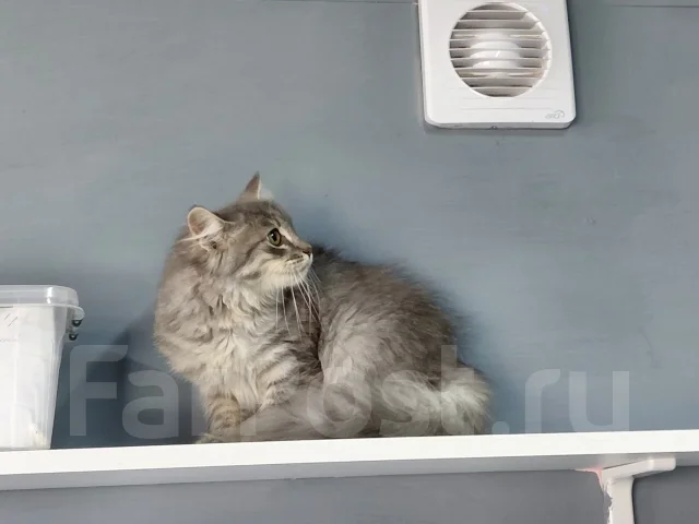 ����� �������� ������� � ������ ���� ����