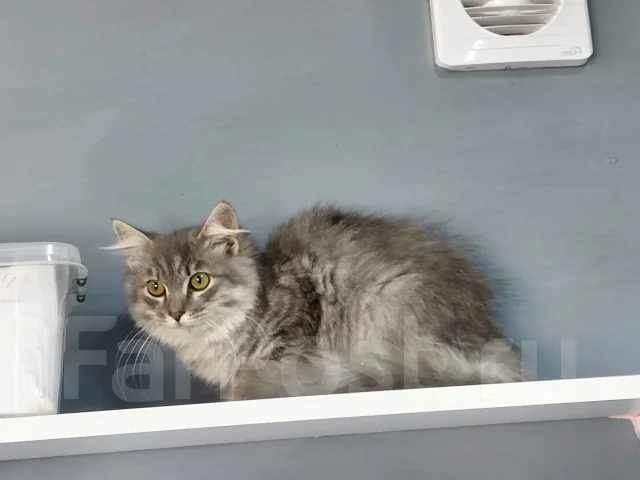 ����� �������� ������� � ������ ���� ����