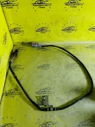 ������-���� Volkswagen Passat B6 06F906262AD B6 06F906262AD ����