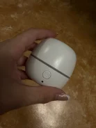 �������������. ����