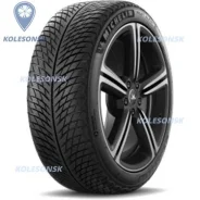 Michelin Pilot Alpin 5
