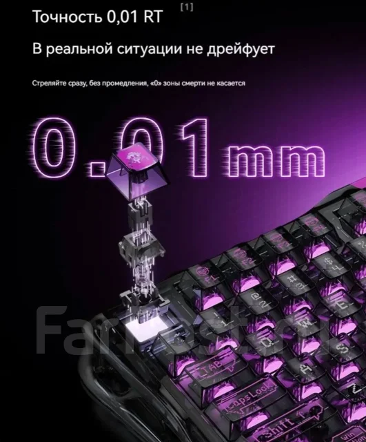 ����������. ����