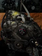 ��������� Kia Sedona G6DA VQ G6DA ����